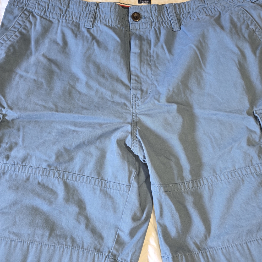 Tommy Hilfiger Blue Cargo Shorts